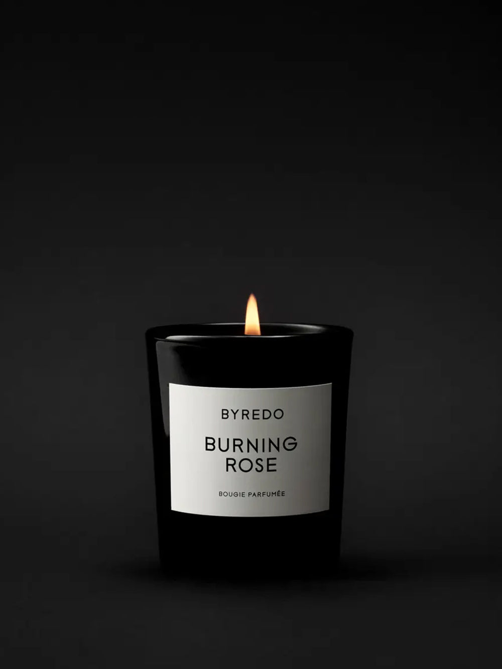 Rosa che brucia le candele