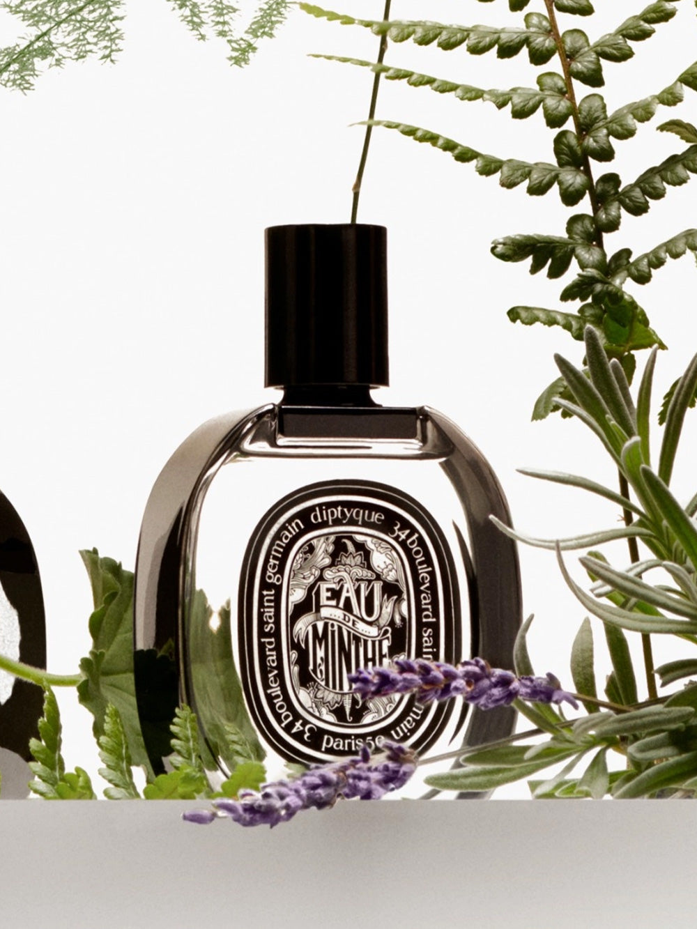 Eau de minthé eau de parfum