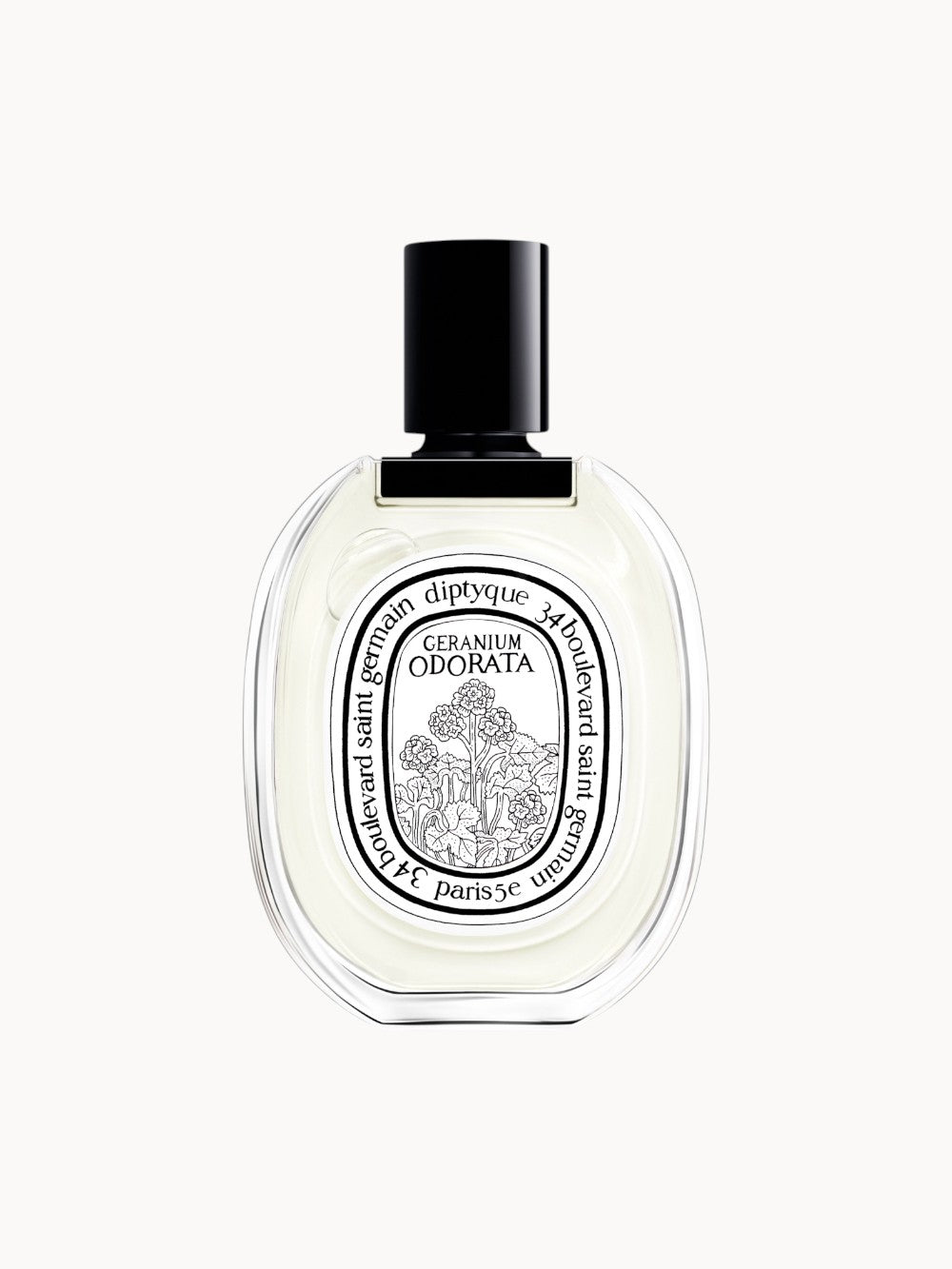 Γεράνιο odorata eau de toilette
