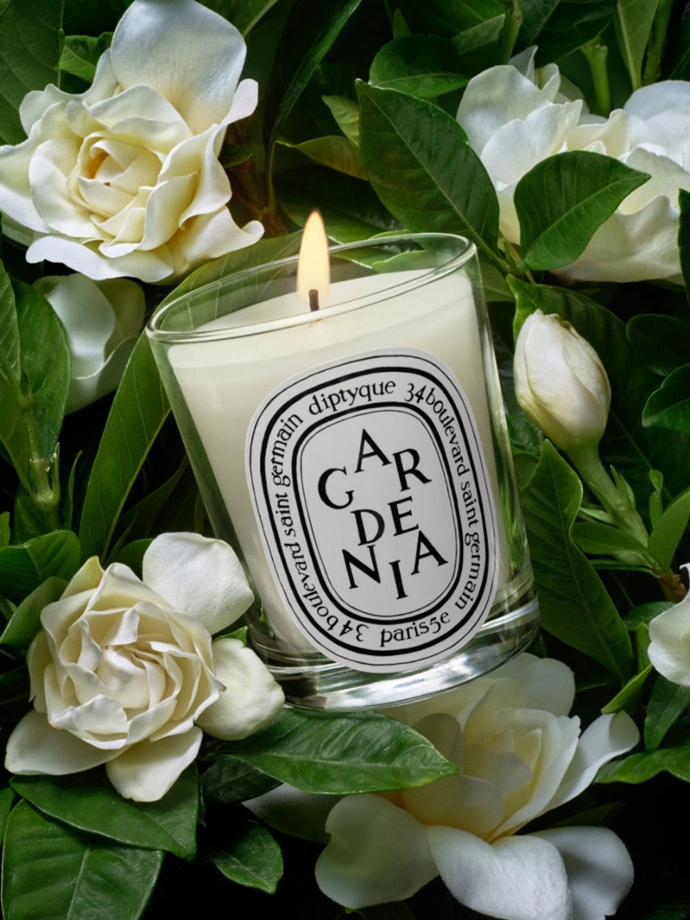 Свеча Гардендия