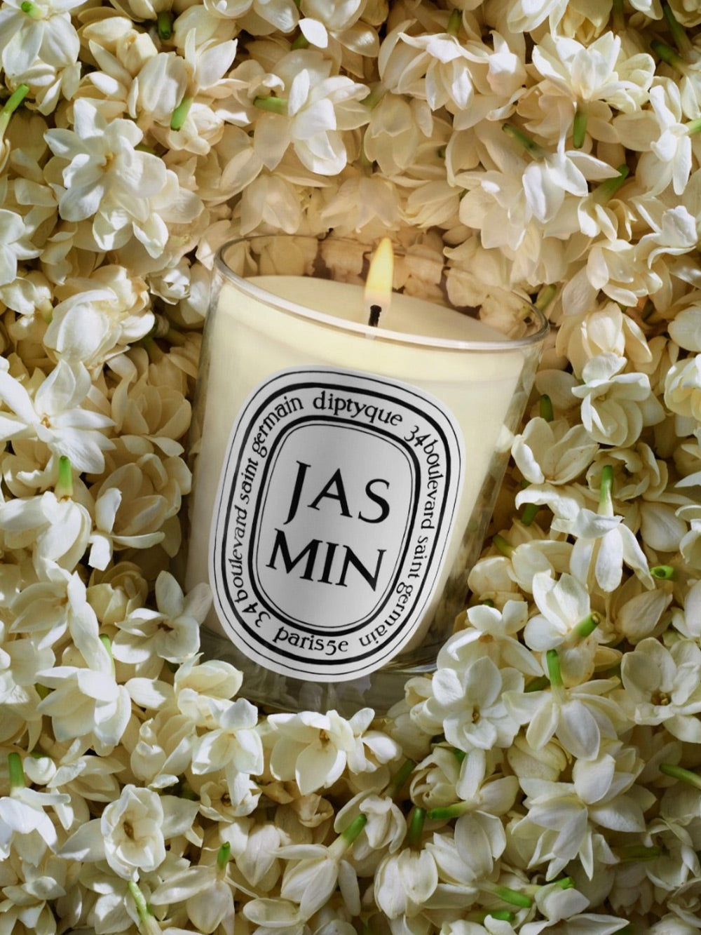 Jasmine candle