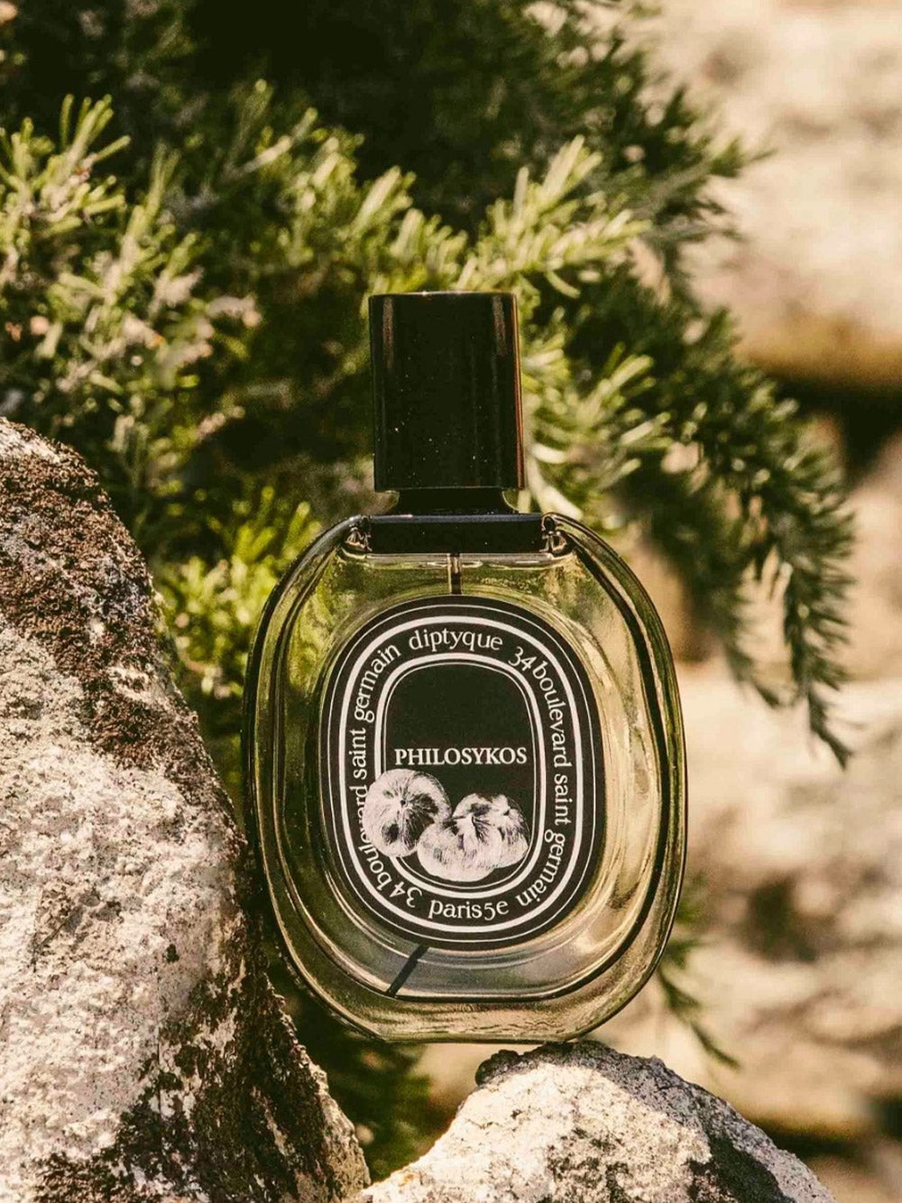 Philosykos eau de parfum