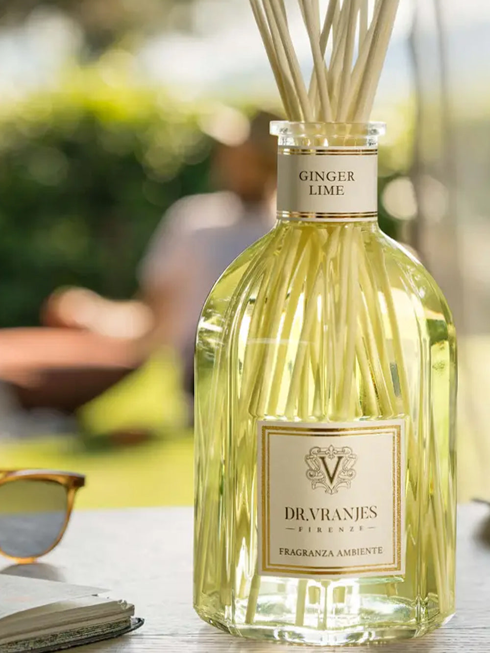 Διάχρωμος ασβέστη τζίντζερ