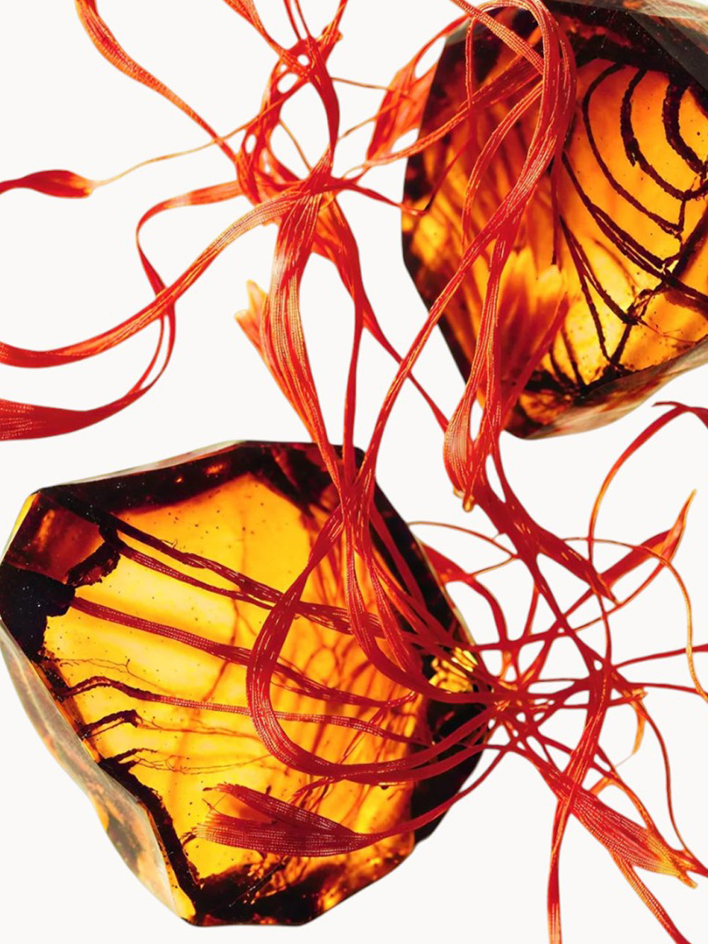 Godolphin Eau de Parfum