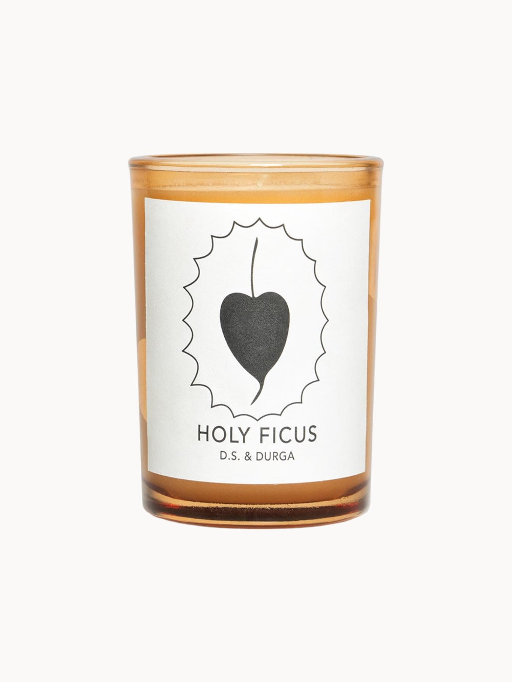 Ficus sagrado