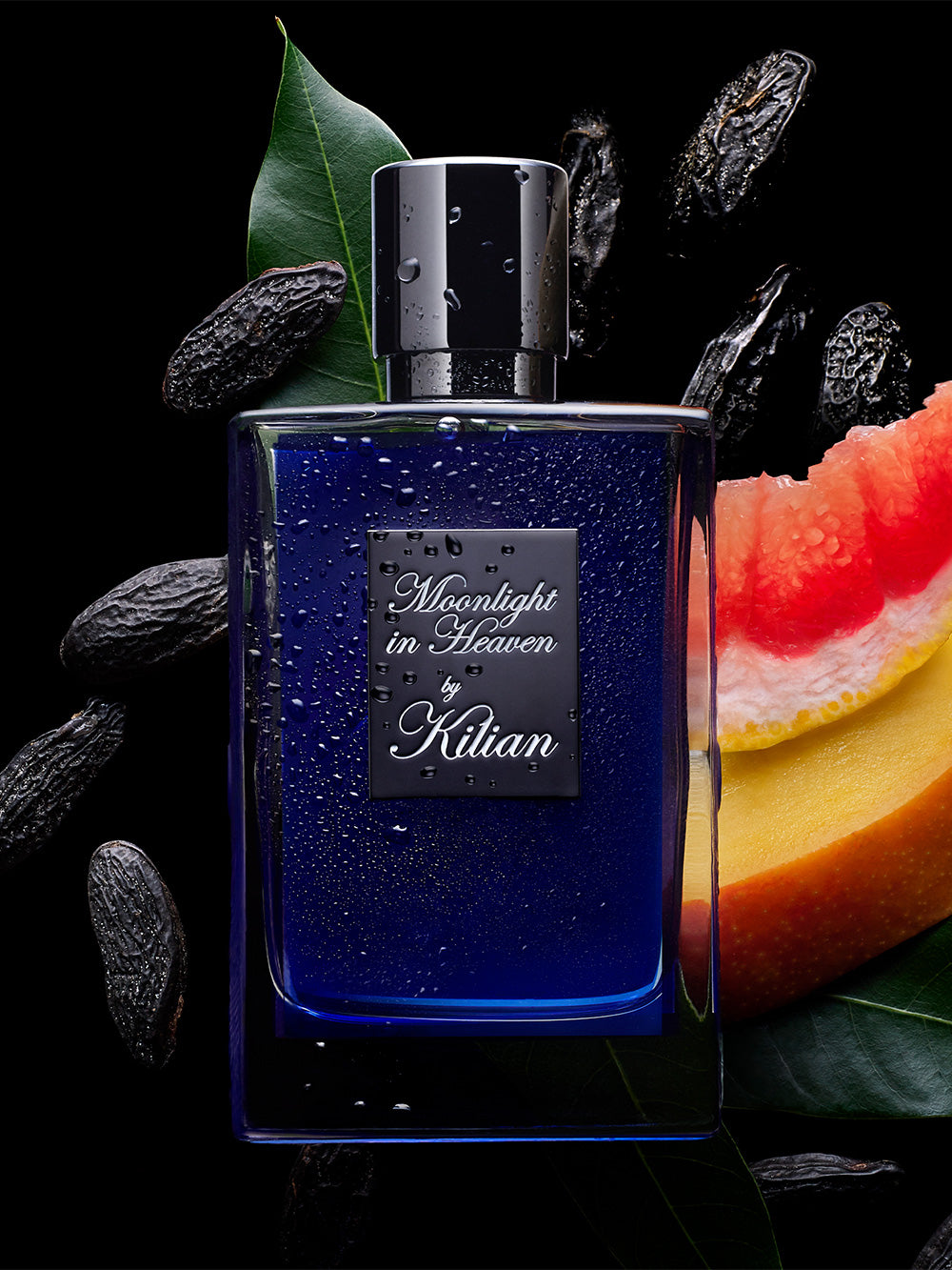 Światło księżyca w niebie