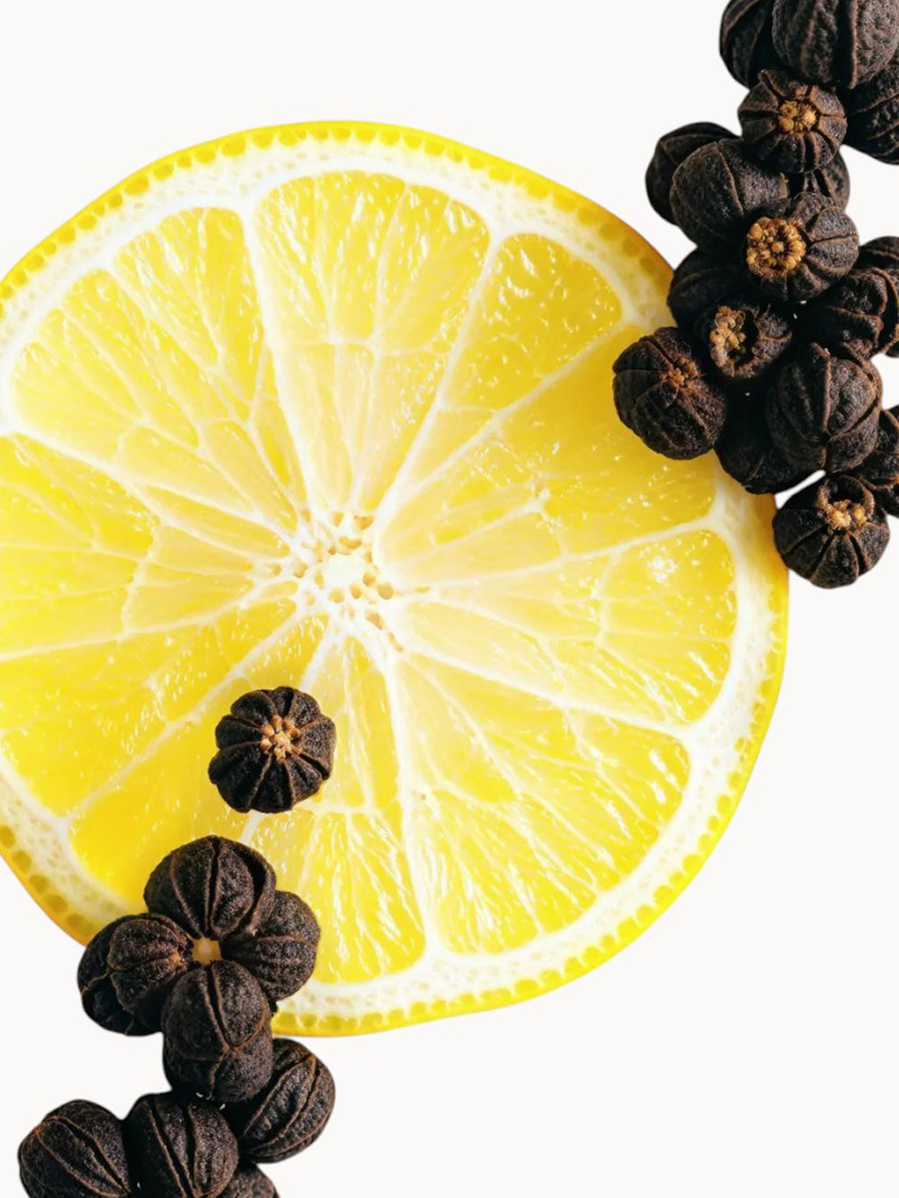 Galloway eau de parfum