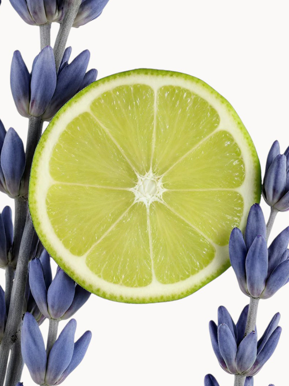 Percival Eau de Parfum