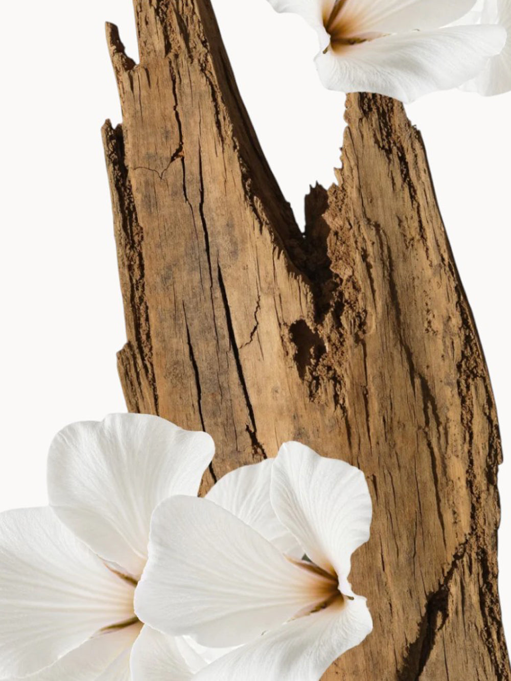 Valaya Eau de Parfum