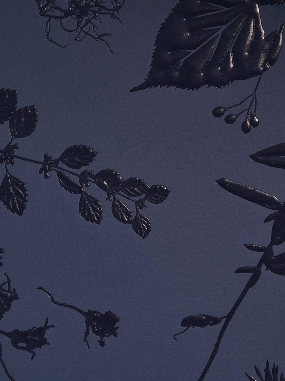 Ομάδα Δρ Joseph Advent Calendar 2025