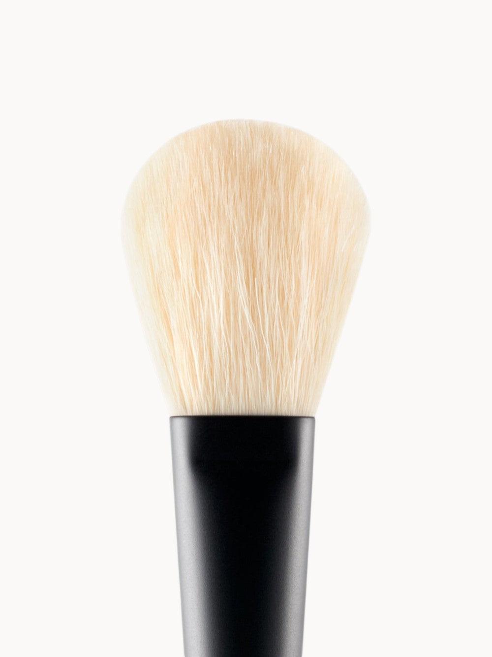 Powder Brush