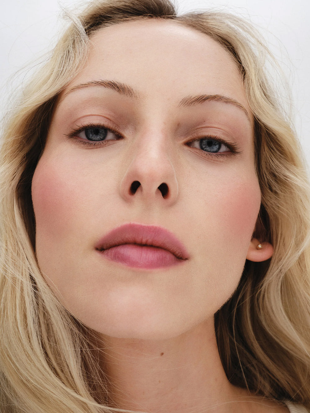 Petite Petal Edition