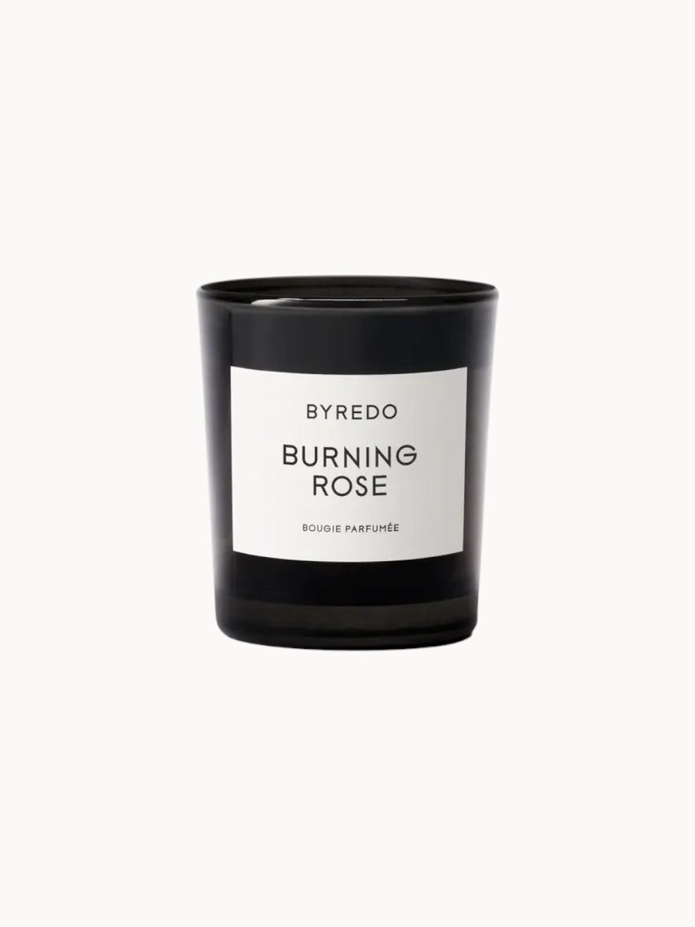 Rosa que arde en vela