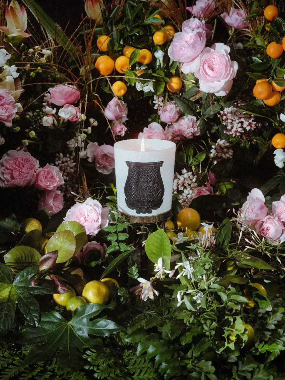 Candela Rose Poivrée