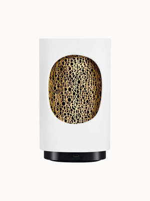 Electric Fragrance Dispenser for Indoors
