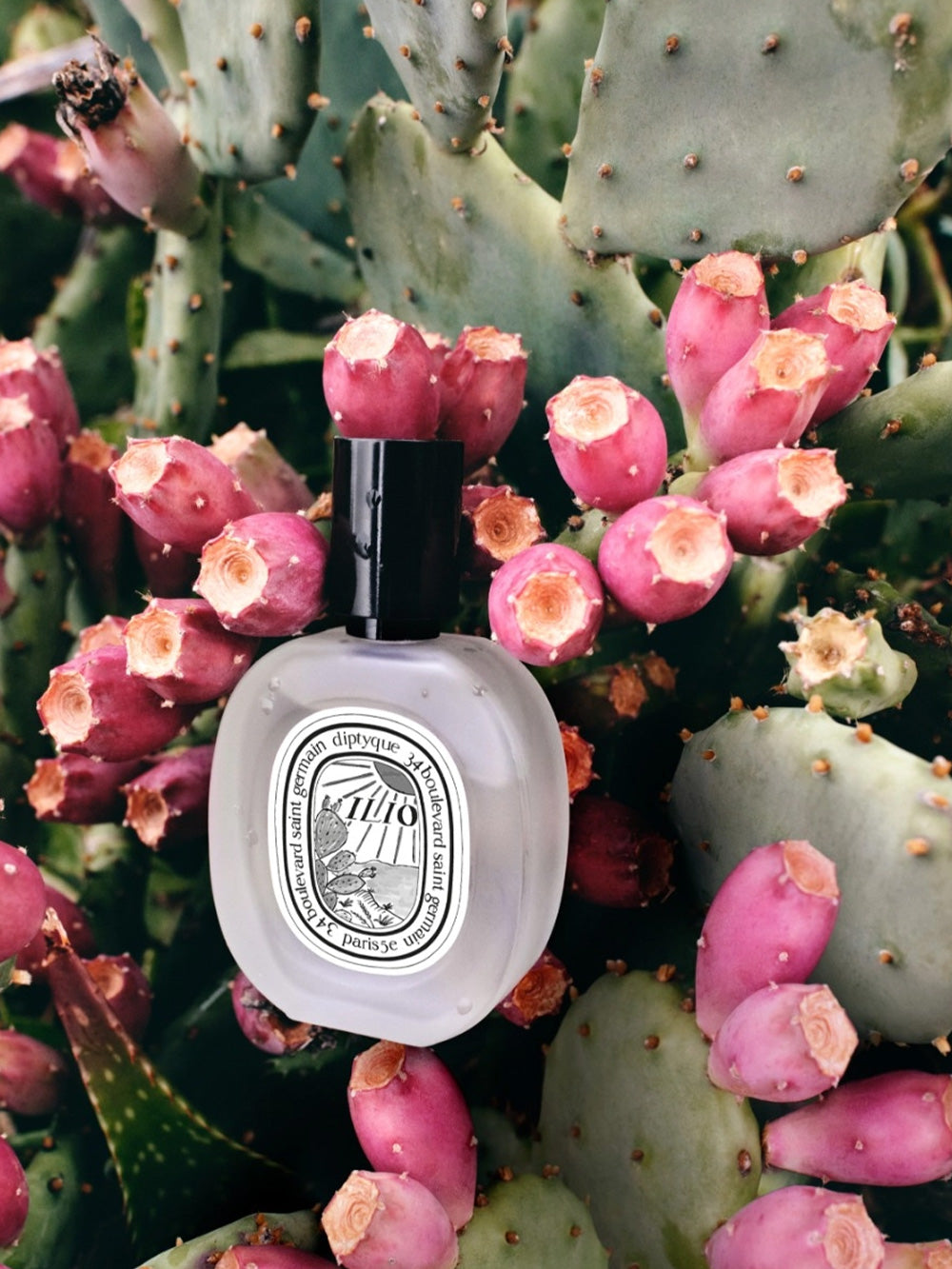 Ilio Haarparfum