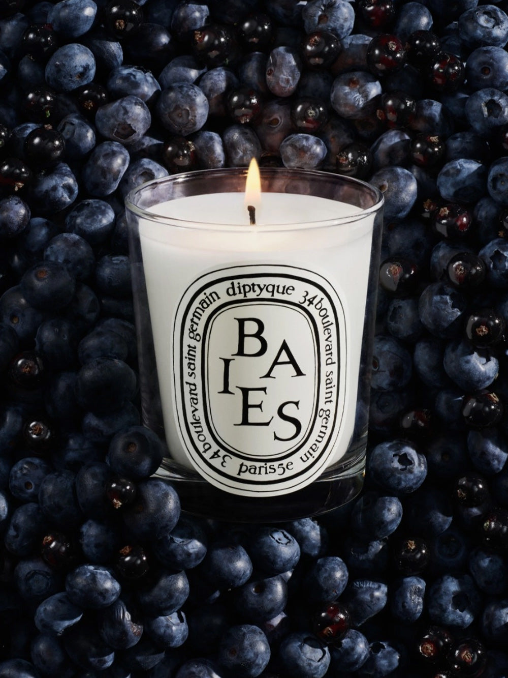 Candle Baies