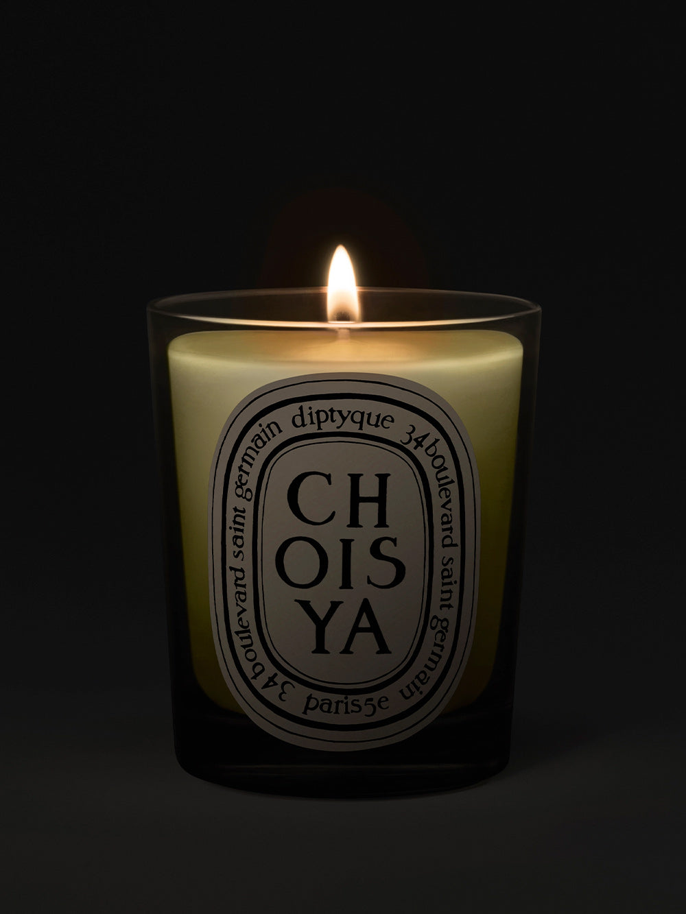 Candle Choisya