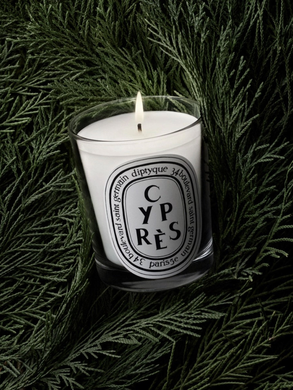 Candle Cyprès