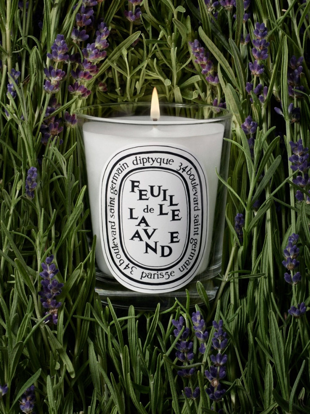 Candle Feuille de Lavande