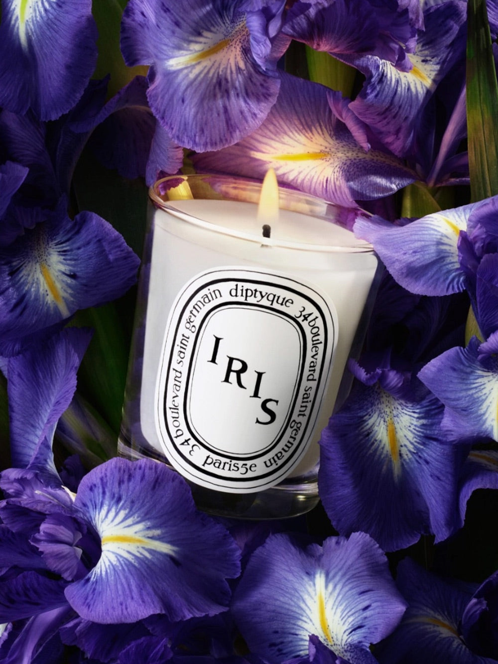 Candela Iris