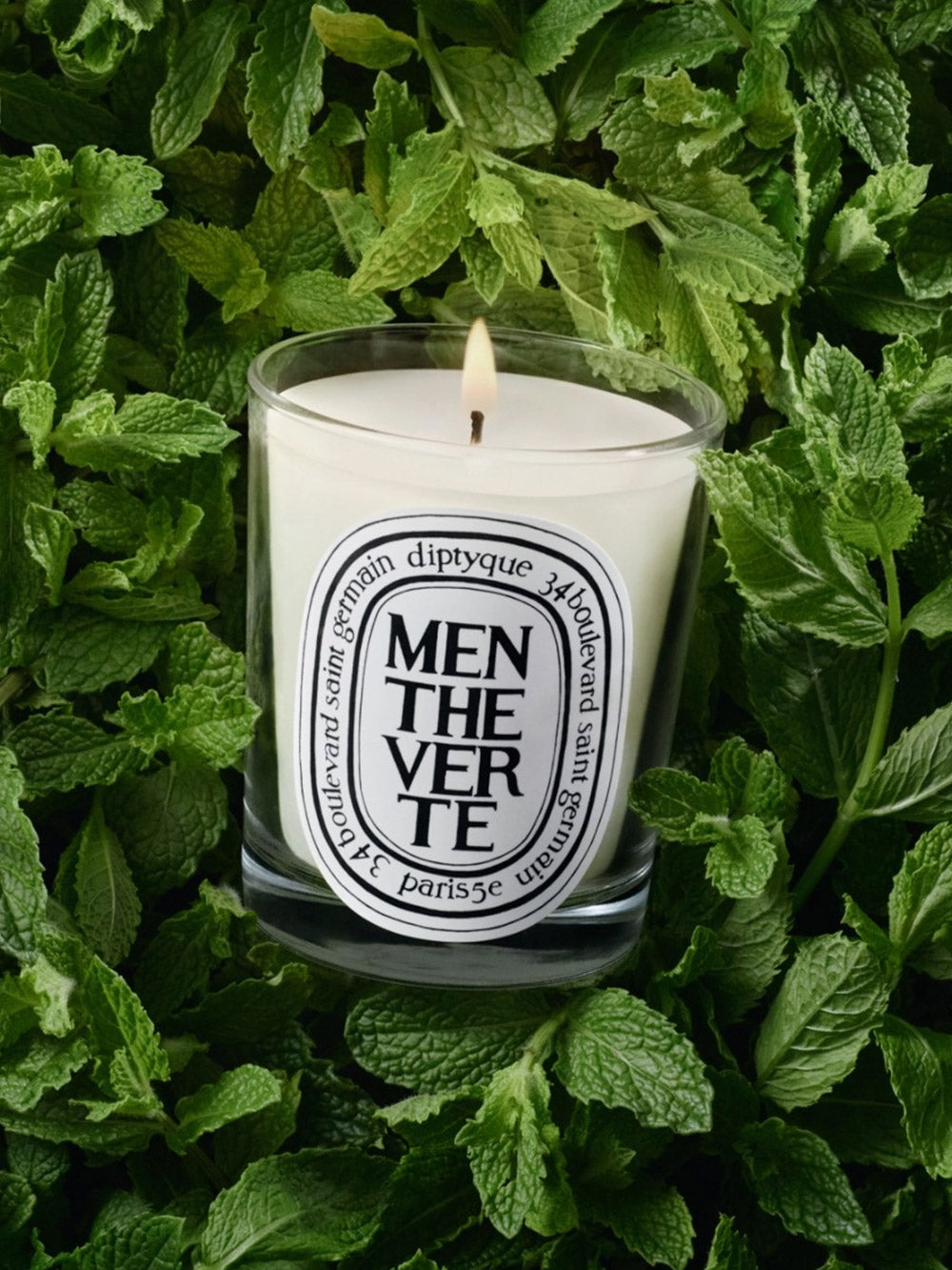 Candela Menthe Verte
