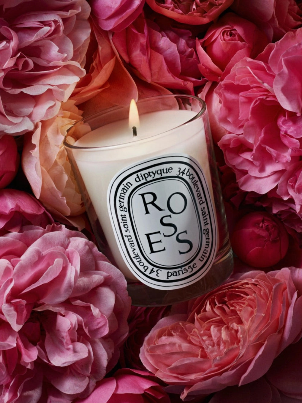 Candle Roses