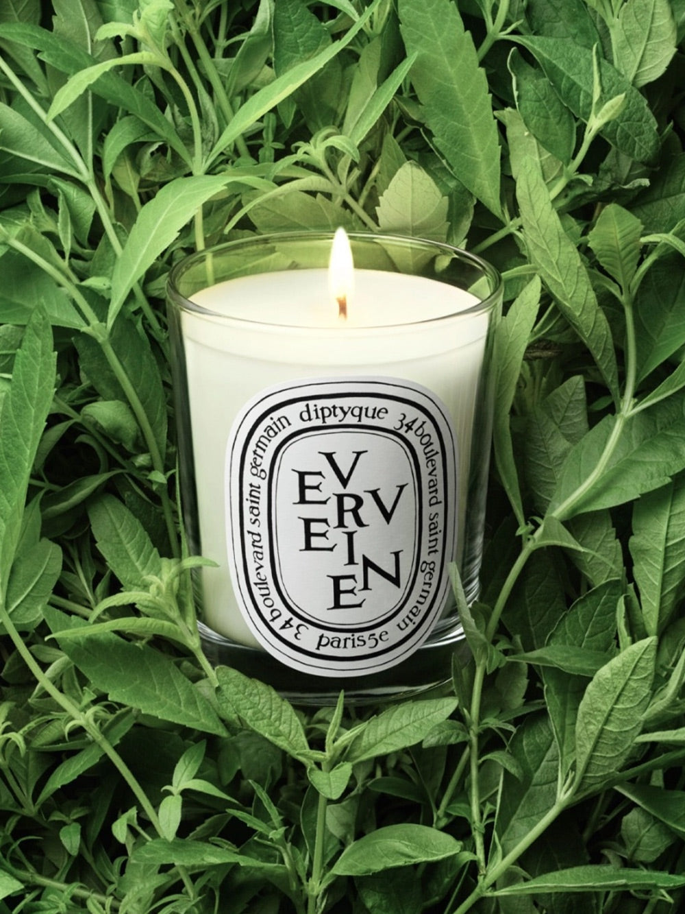 Candle Verveine