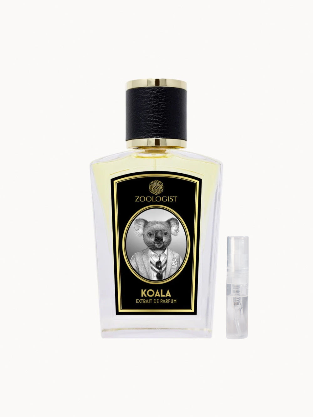 Koala 