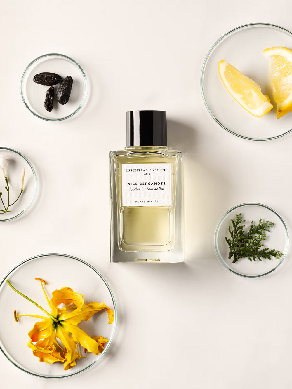 Nice Bergamote