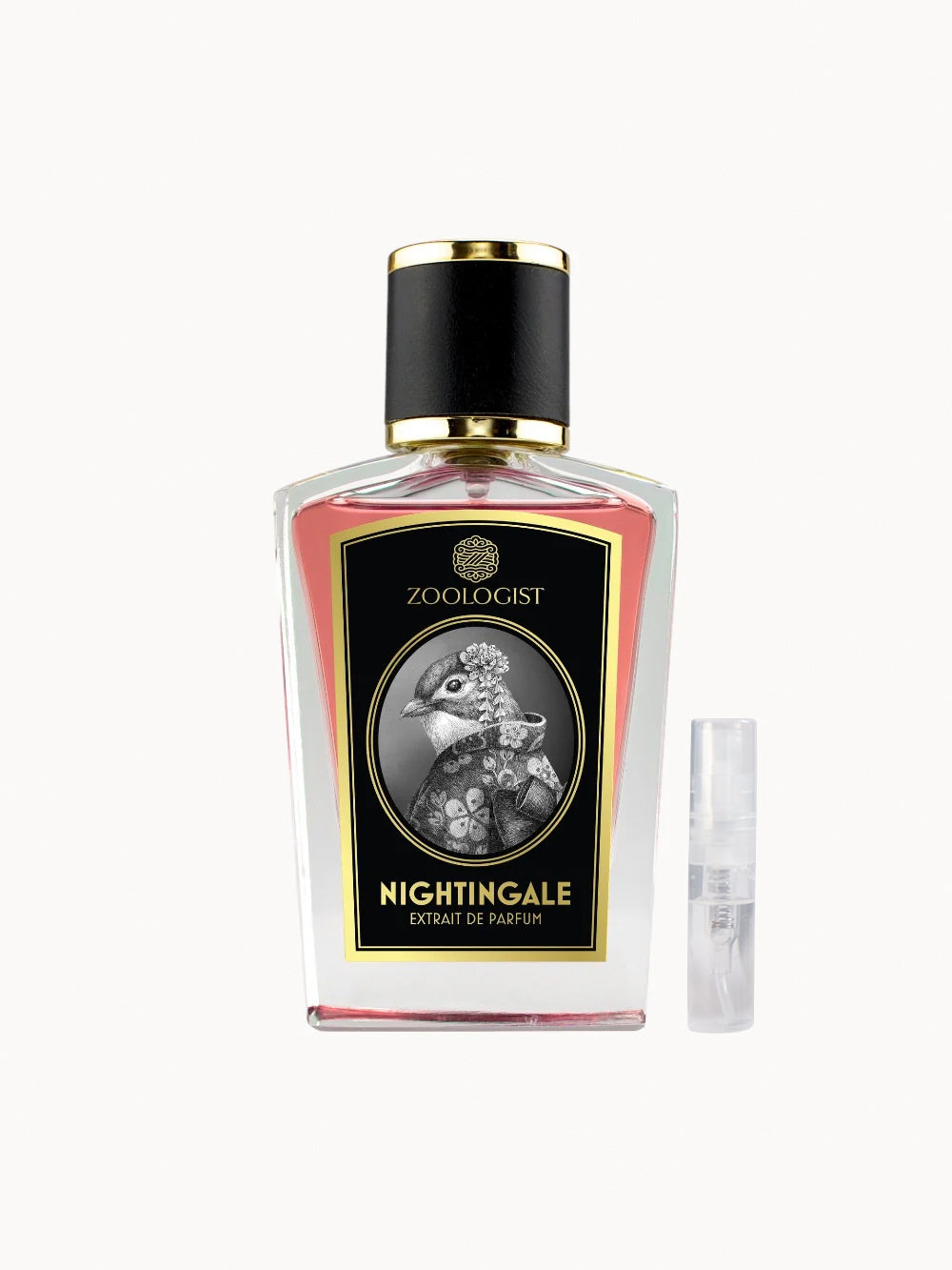 Buy Zoologist Perfumes Online – Das Parfum & Beauty