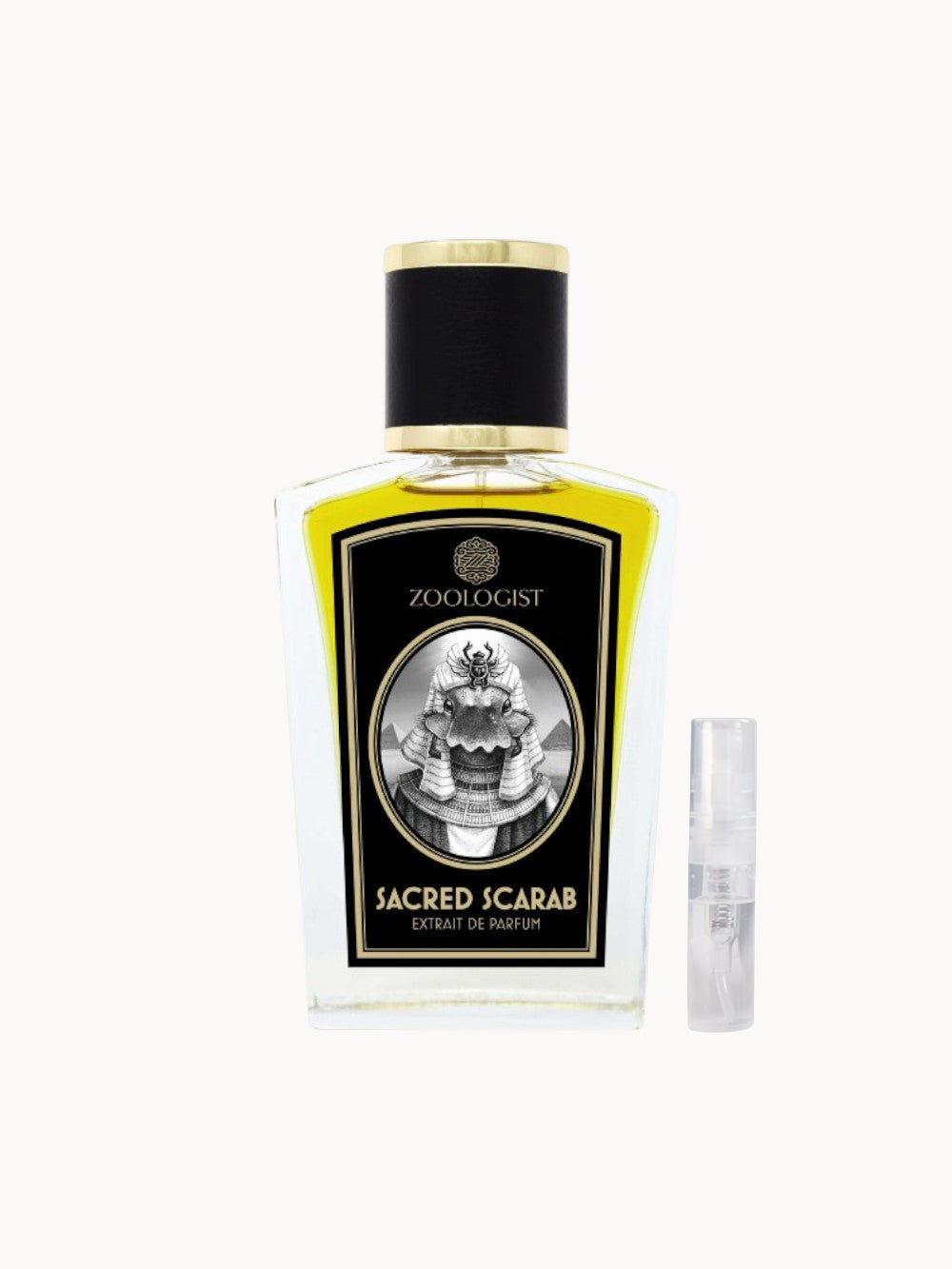 Escarabajo sagrado