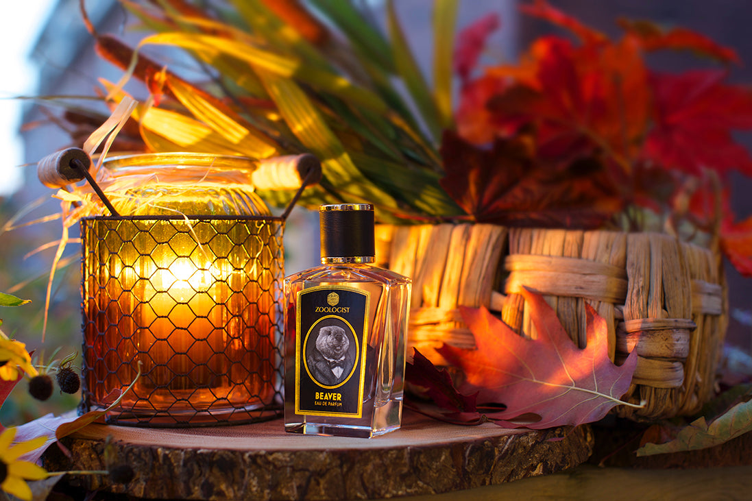 Brand World Zoologist – Das Parfum & Beauty